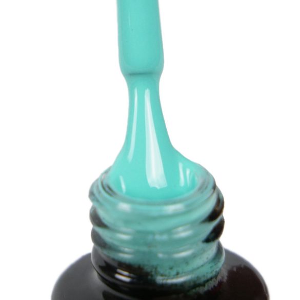 Gel Polish - DN047