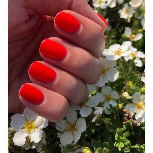 Gel Polish - DN196