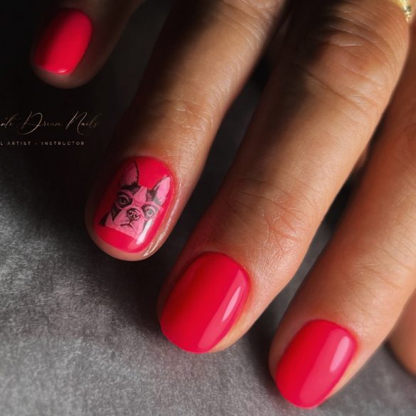 Gel Polish - DN197
