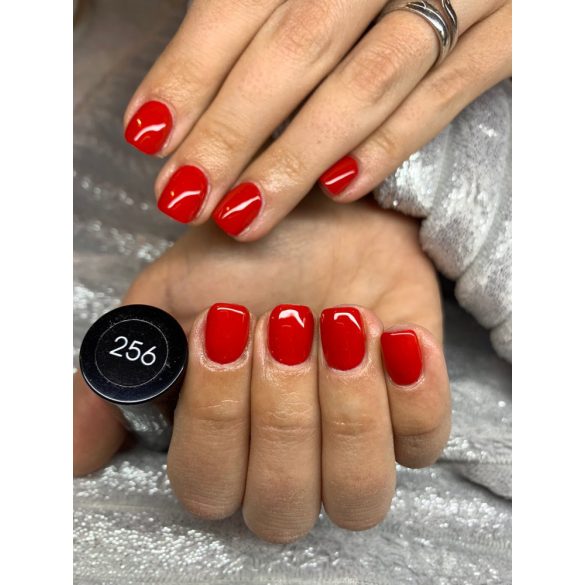 Gel Polish – DN256 - Violent Scarlet 