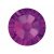 Swarovski Strass Amethyst Tondo 100pz