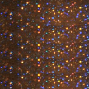 Polvere Acrilica Colorata 029