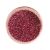 Glitter Polvere #25