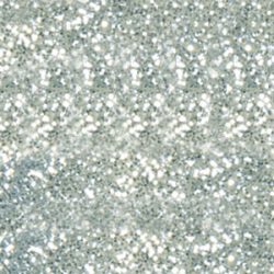 Polvere Acrilica  Glitterata Argento 046